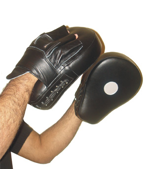 Curve Focus Mitt