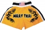 Muay Thai shorts nylone