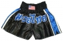 Satin Muay Thai shorts