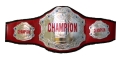 Champion Title Belt